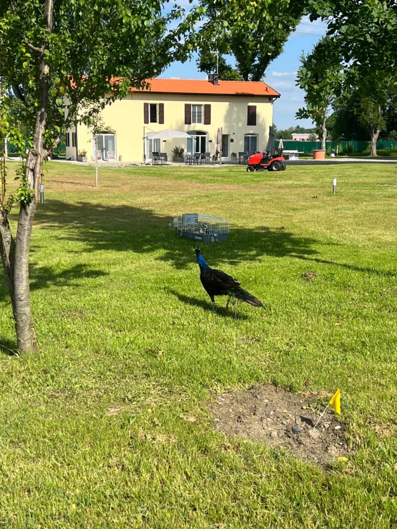 Villa Iris Модена Экстерьер фото